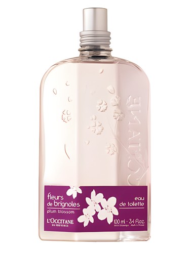 profumo Fleurs de Brignoles Plum Blossom di L'Occitane en Provence da donna