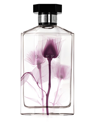 profumo Sheer Stella 2011 di Stella McCartney da donna