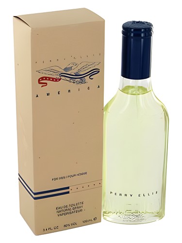 profumo America for Men di Perry Ellis da uomo