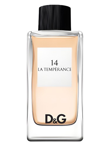 profumo D G Anthology la Temperance 14 di Dolce & Gabbana da donna