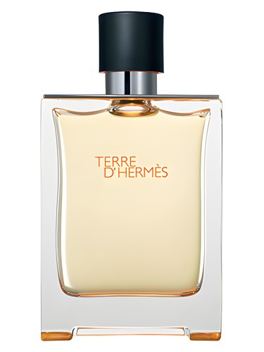 profumo Terre d Hermes di Hermès da uomo