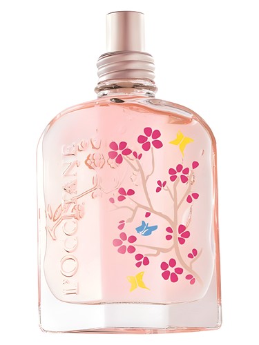 profumo Cerisier Papillon di L'Occitane en Provence da donna