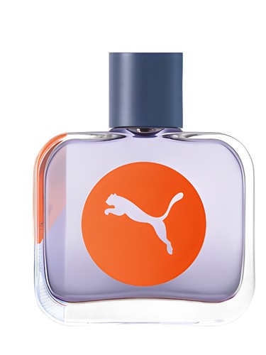 profumo Sync Man di Puma da uomo