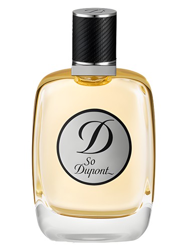 profumo So Dupont pour Homme di S.T. Dupont da uomo