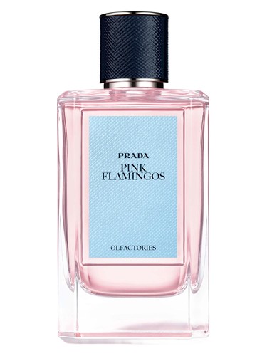 profumo Pink Flamingos di Prada unisex