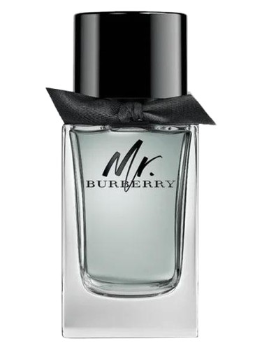 profumo Mr. Burberry di Burberry da uomo