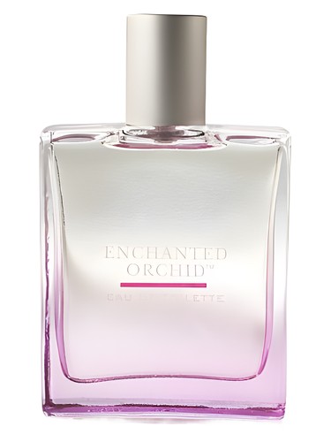 profumo Enchanted Orchid di Bath & Body Works da donna