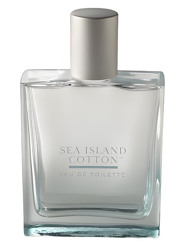 profumo Sea Island Cotton di Bath & Body Works da donna