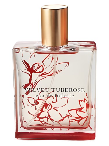 profumo Velvet Tuberose di Bath & Body Works da donna