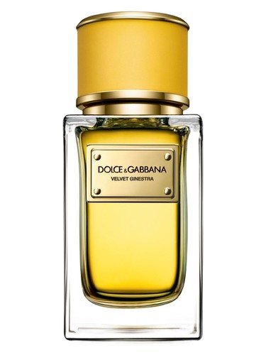 profumo Velvet Ginestra di Dolce & Gabbana da donna