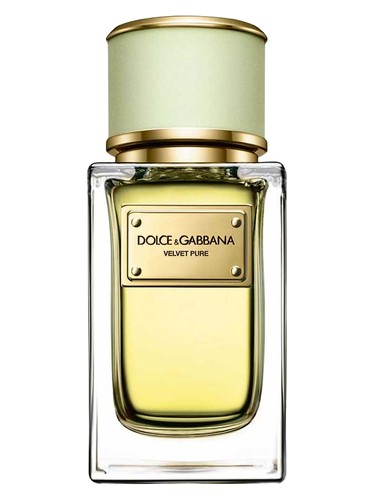 profumo Velvet Pure di Dolce & Gabbana da donna