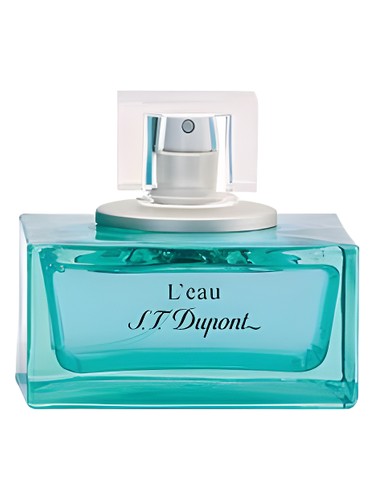 profumo L Eau de S T Dupont pour Homme di S.T. Dupont da uomo