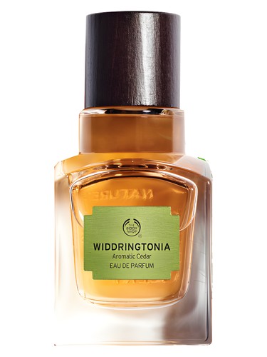 profumo Widdringtonia di The Body Shop unisex