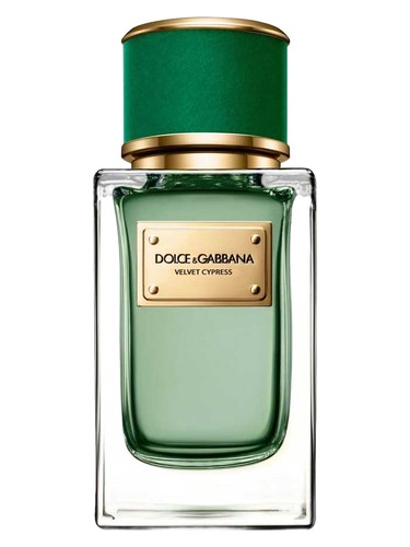 profumo Velvet Cypress di Dolce & Gabbana unisex