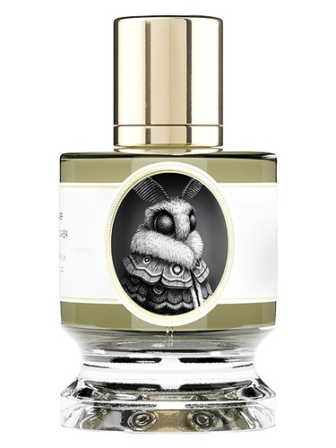 profumo Moth di Zoologist unisex