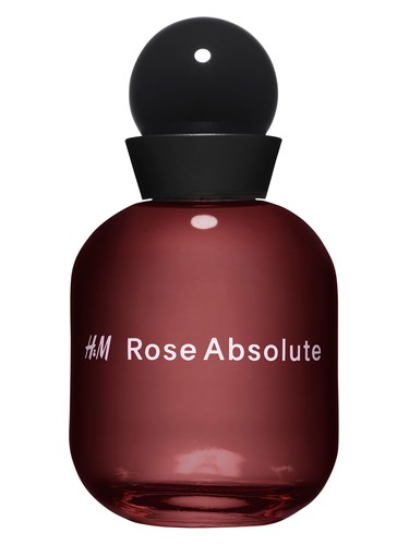 profumo H M Rose Absolute di H M unisex