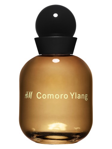 profumo H M Comoro Ylang di H M unisex
