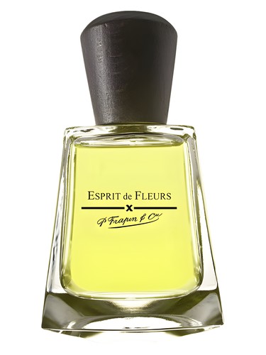 profumo Esprit de Fleurs di Frapin unisex
