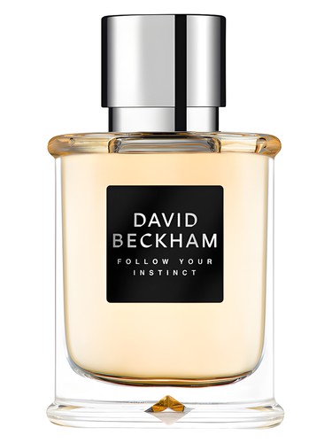 profumo Follow Your Instinct di David Beckham da uomo