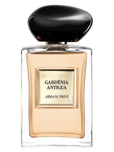 profumo Gardénia Antigua di Giorgio Armani unisex