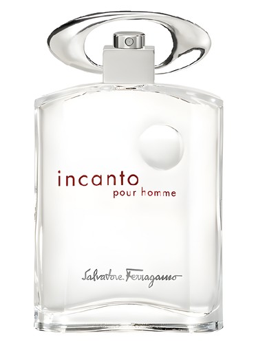 profumo Incanto Pour Homme di Salvatore Ferragamo da uomo