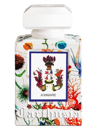 profumo A'mmare di Carthusia unisex