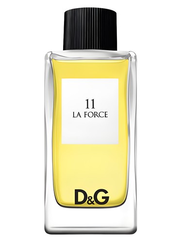 profumo D G Anthology la Force 11 di Dolce & Gabbana da uomo