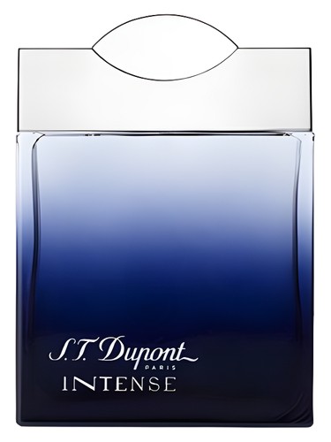 profumo S T Dupont Intense pour Homme di S.T. Dupont da uomo