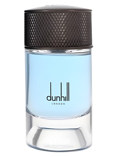 profumo Nordic Fougère di Alfred Dunhill da uomo