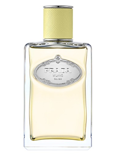 profumo Infusion de Gingembre di Prada unisex