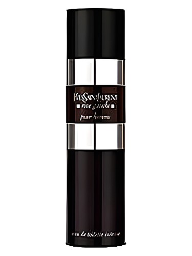 profumo Rive Gauche Pour Homme Intense di Yves Saint Laurent da uomo